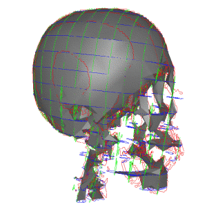 Skull Contour